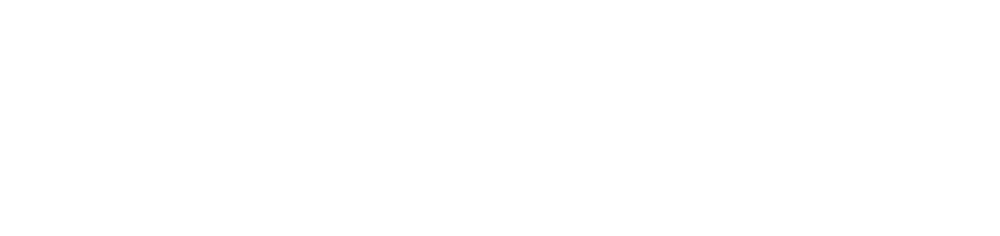 German CTO & CHIP Meeting